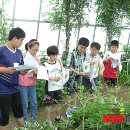 채림농장 이미지