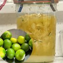 내천농장 이미지