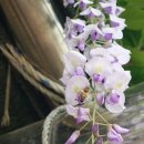 내당노인복지관 이미지