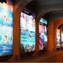 까사마레 이미지