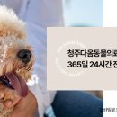 오창동물병원 이미지