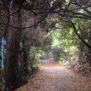 신례2리 마을회관 이미지