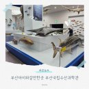 부산 아이와 갈만한곳 부산국립수산과학관 방문후기 주차