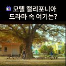백봉초등학교 병설유치원 | 강희가 고향에 와서 연수 보고 우는 초등학교는? 괴산 백봉초등학교 (드라마 모텔 캘리포니아 촬영지)