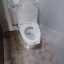 국가대표대한실전태권도장 이미지