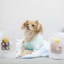 댕꼬미다 이미지