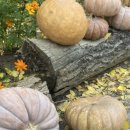 교통회관(공중) 이미지