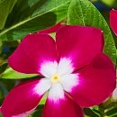 정다운세탁소 이미지