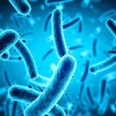 상무헬스장 이미지