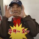 캣누리 | 11월 쿠팡 장바구니 구매후기