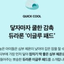 퍼피월드 이미지