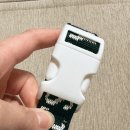 백야드 | 찰리스백야드 강아지 목줄 리드줄 후기｜귀여운 아이템 코디가 더 예쁜 데일리 산책템