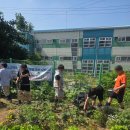 웃음가득놀이교육 | [학교텃밭프로그램]웃음 가득했던 교육형 학교 텃밭 프로그램 생생후기