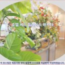후쿠오카 여행객 필독 호텔 써드 플레이스 하카타 후기! 추천하는 이유