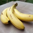 바나나휘트니스 이미지