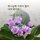 요절말씀카드 /꽃사진에 성구 한 절 잠언18장/ 시편21장요절/ 하나님을 가까이 함이 내게 복이라(시73:28) 이미지