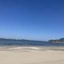 청림물회 이미지