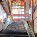 상상카프라자 | 모나용평리조트 국내최대길이 발왕산케이블카 주말탑승후기