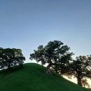 ACE스크린골프 이미지