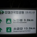 [소황병산] 진고개 선자령 대관령 2009 8 22 토 이미지