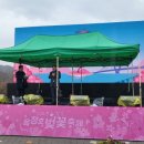 쌍치 추령천 벚꽃축제 이미지