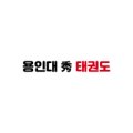 용인대수태권도장