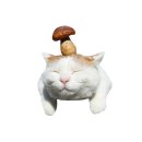 다이도코로