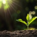 건축사사무소프로세스 이미지