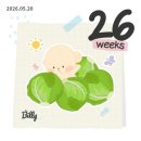 예진슈퍼 | [26주] 생일 겸 태교여행(후쿠오카)