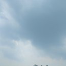 검정다리추억비 이미지