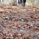 강릉뚜벅이 제22차 여행후기 이미지