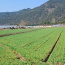 경북 십승지를 가다.&lt;회룡포,금당실마을,소백산자락길,풍기 금계마을&gt;