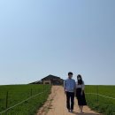 웅이목장 이미지