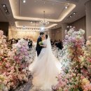 세인트41 이미지