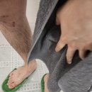 바디 제모크림 [닥터데이즈] 프리미엄 제모크림 후기!!!
