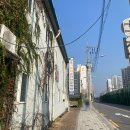 우현H&D | 얼렁뚱땅 운전면허 1종 보통 합격후기(2) - 기능 시험 (with 창동 자동차 운전전문학원)