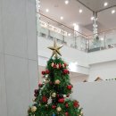 성탄절 산과야~ 메리 크리스마스! 🎄 이미지