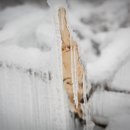 목소리테마파크 이미지