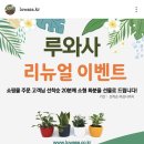 루와사 네이버블로그