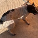 금호동 백운생활관 이미지