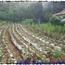 의좋은형제한의원 이미지