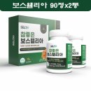 엘리아 이미지