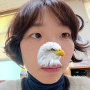 1회 사진기록전 | 대구 반월당피부과 피코토닝 1회차 내돈내산 후기