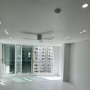 신세대지큐빌 이미지