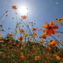 쾌청농장 이미지