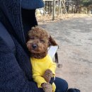 호두가족 이미지