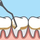 강화 탑치과의원 이미지