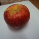 좋은세상 이미지