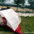 풍천장어나라 이미지