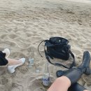 날라리공룡노래연습장 이미지